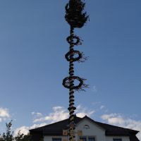 007-Bild-Maibaum_stellen-4