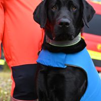 BRH-Rettungshundestaffel_Bild-04