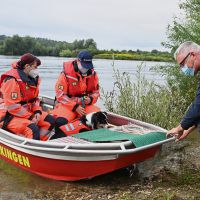 BRH-Rettungshundestaffel_Bild-08