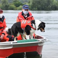 BRH-Rettungshundestaffel_Bild-09