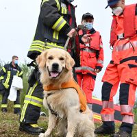 BRH-Rettungshundestaffel_Bild-10