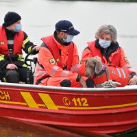 BRH-Rettungshundestaffel_Bild-14