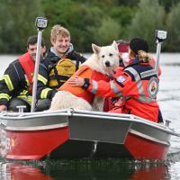 BRH-Rettungshundestaffel_Bild-17