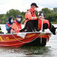 BRH-Rettungshundestaffel_Bild-20