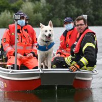 BRH-Rettungshundestaffel_Bild-26